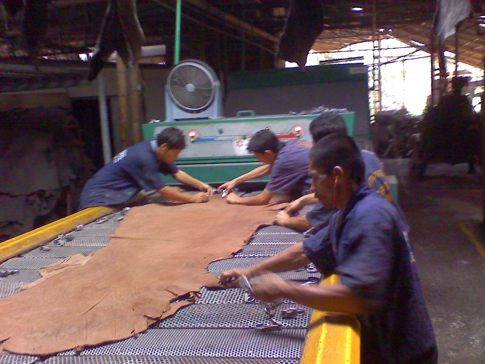 octubre 2014 CURTIDO DE PIELES